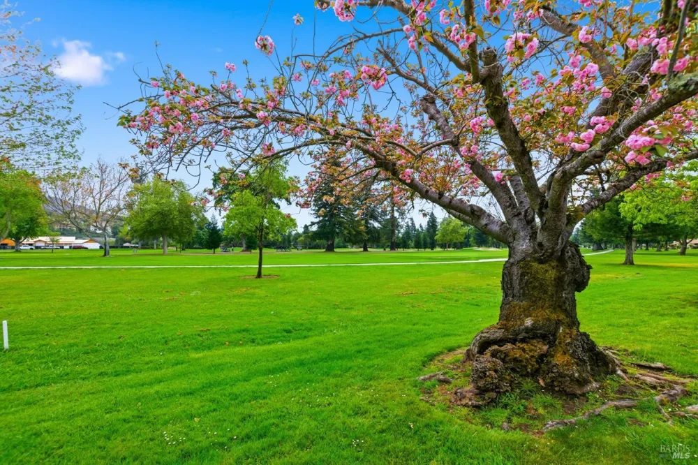 13 Fairways Drive Napa, CA 94558