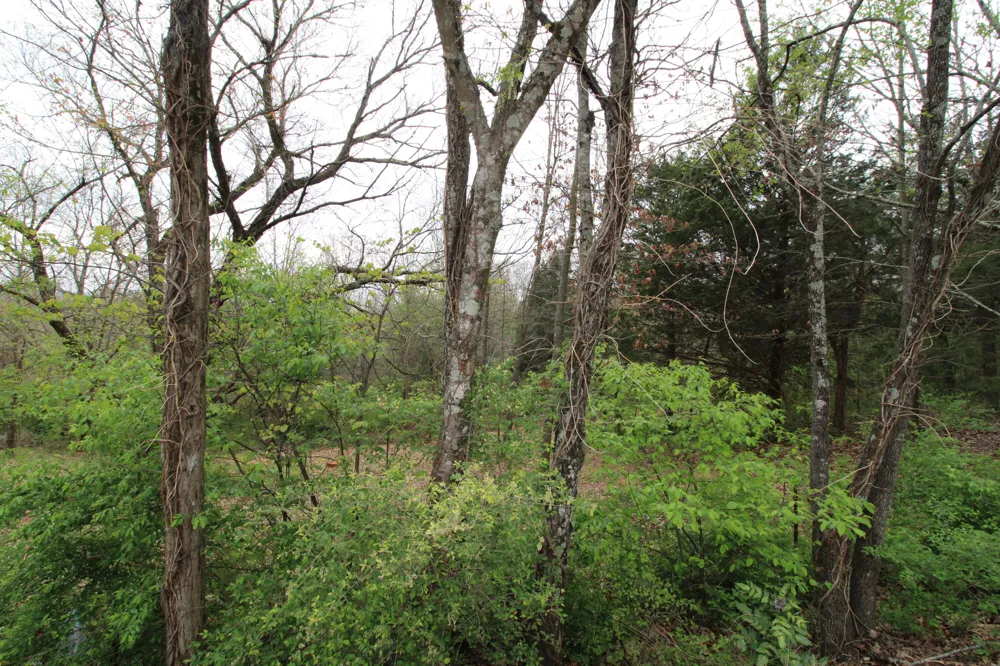2550 Folkner Road Hixson, TN 37343