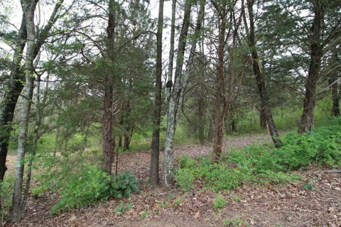2550 Folkner Road