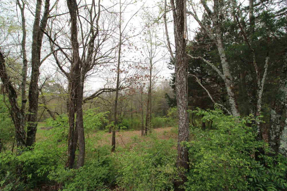2550 Folkner Road Hixson, TN 37343