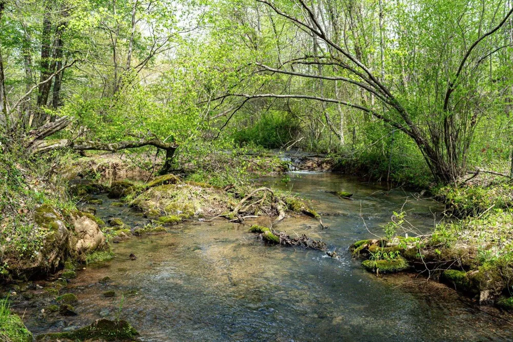 180 Mecca Pike Tellico Plains, TN 37385