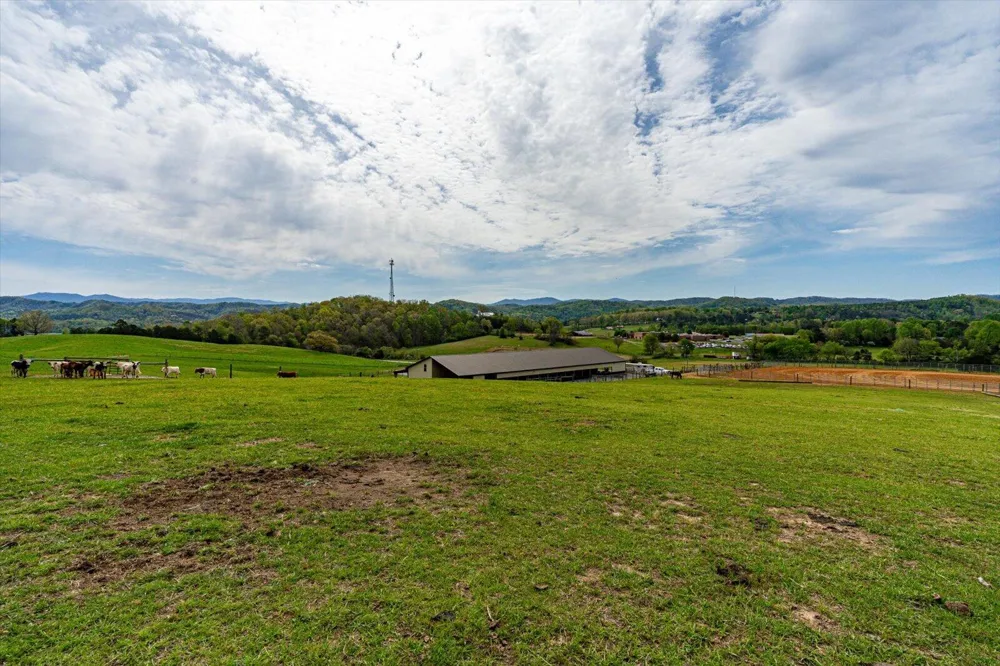 180 Mecca Pike Tellico Plains, TN 37385