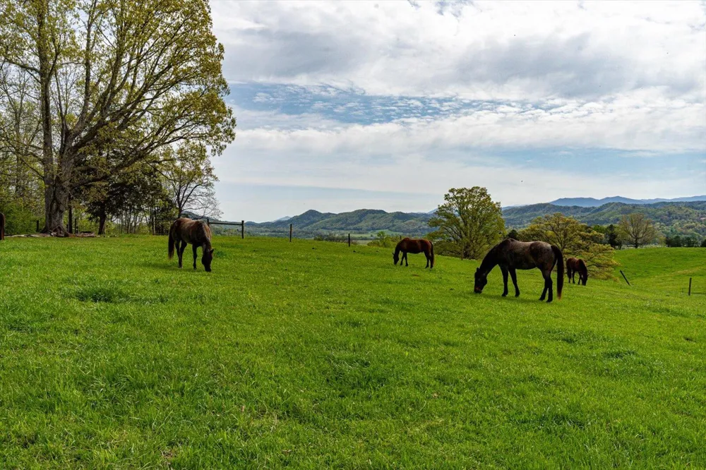 180 Mecca Pike Tellico Plains, TN 37385
