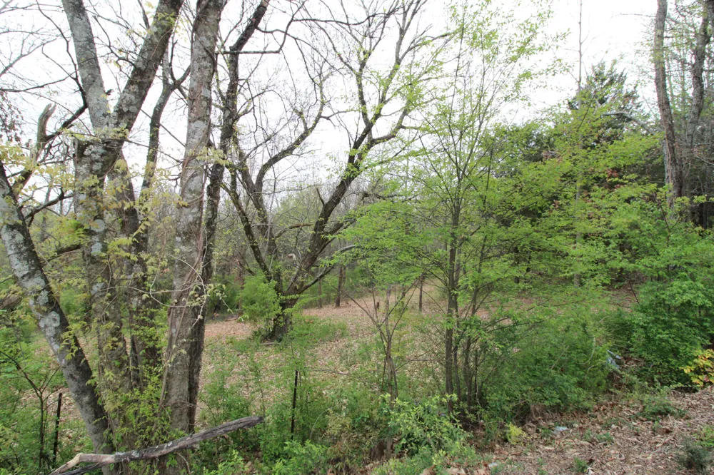 2558 Folkner Road Hixson, TN 37343