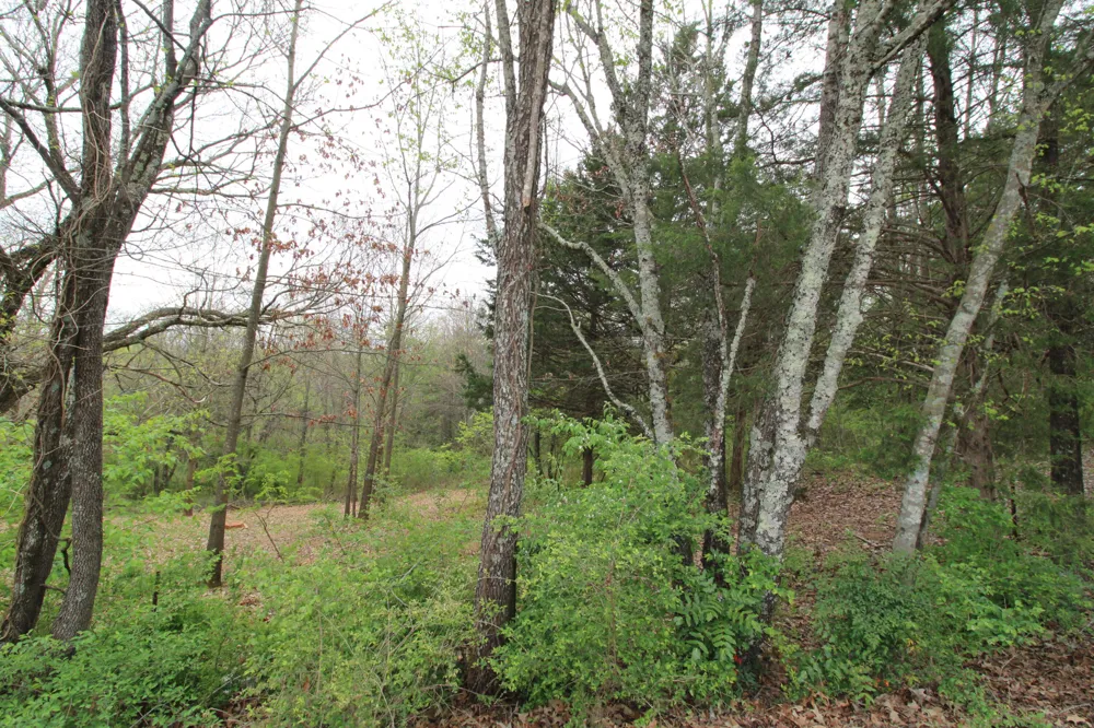 2558 Folkner Road Hixson, TN 37343