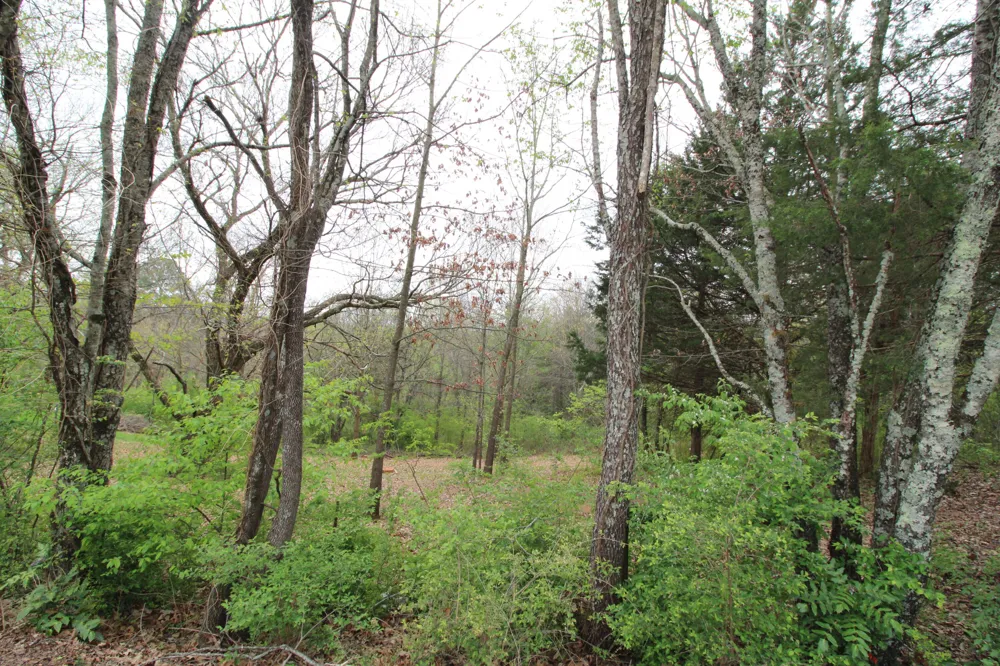 2558 Folkner Road Hixson, TN 37343