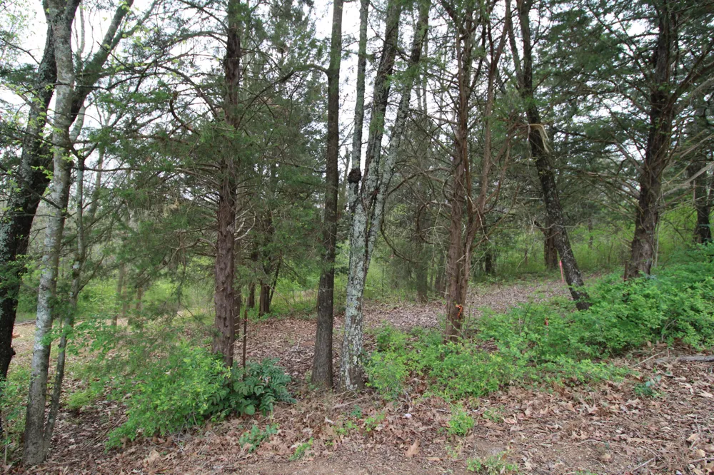 2558 Folkner Road Hixson, TN 37343