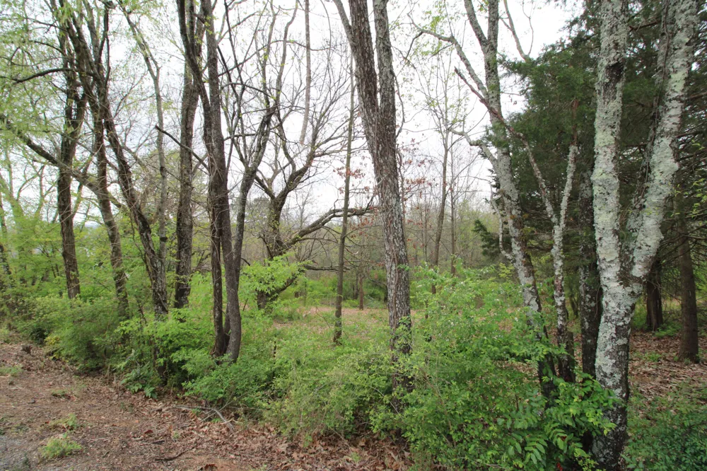 2558 Folkner Road Hixson, TN 37343