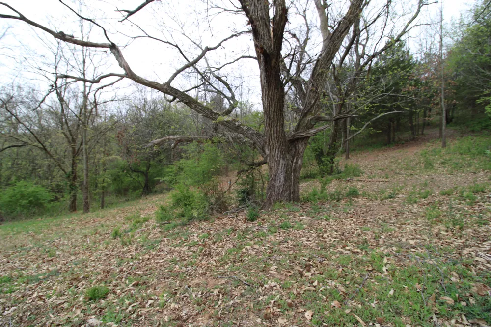 2566 Folkner Road Hixson, TN 37343