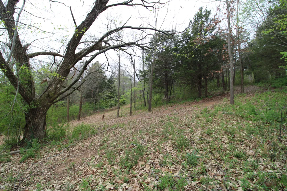 2566 Folkner Road Hixson, TN 37343