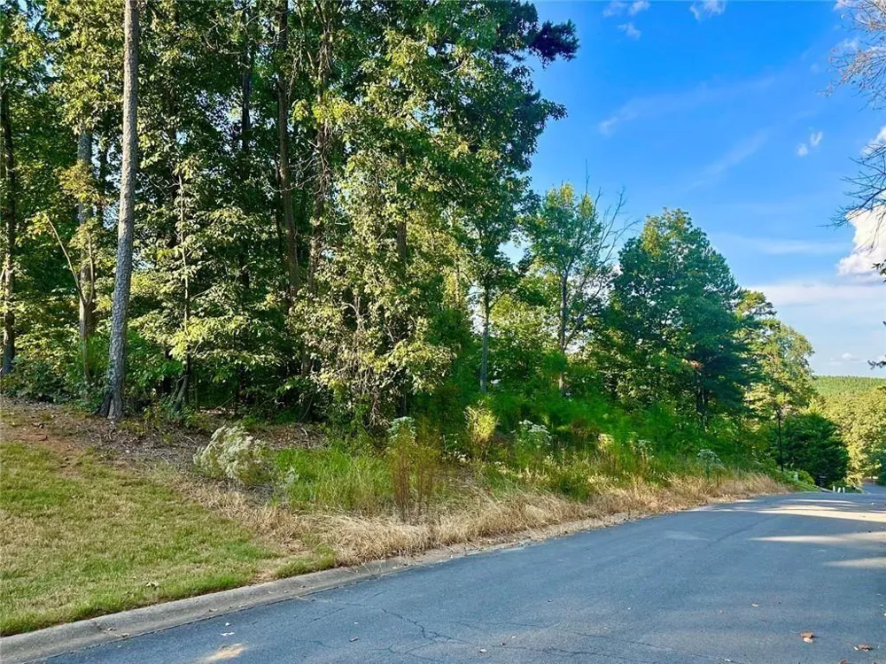 98 Magnolia Court Summerville, GA 30747