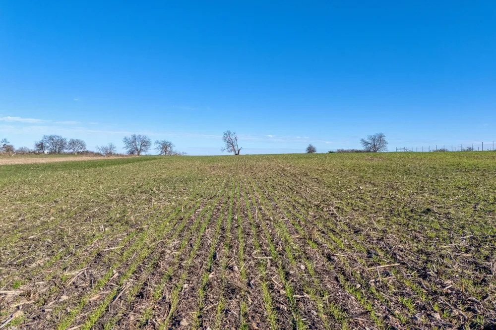 18502 FM 2268 Holland, TX 76534