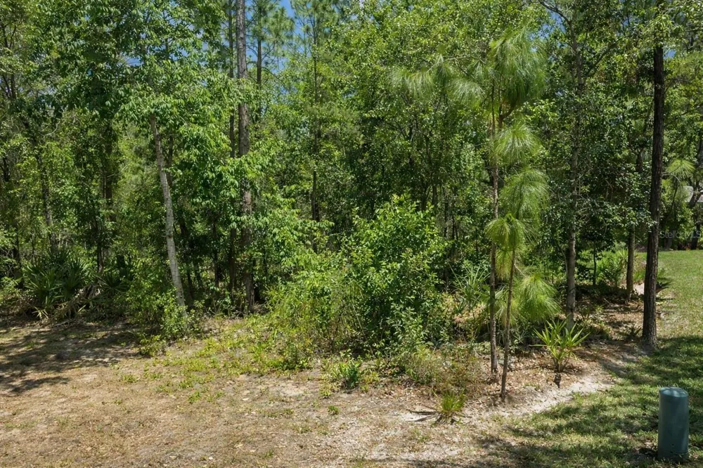 17 SPECEBERRY CIRCLE Homosassa, FL 34446