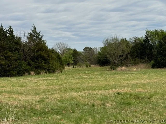 Lilac Burneyville, OK 73430