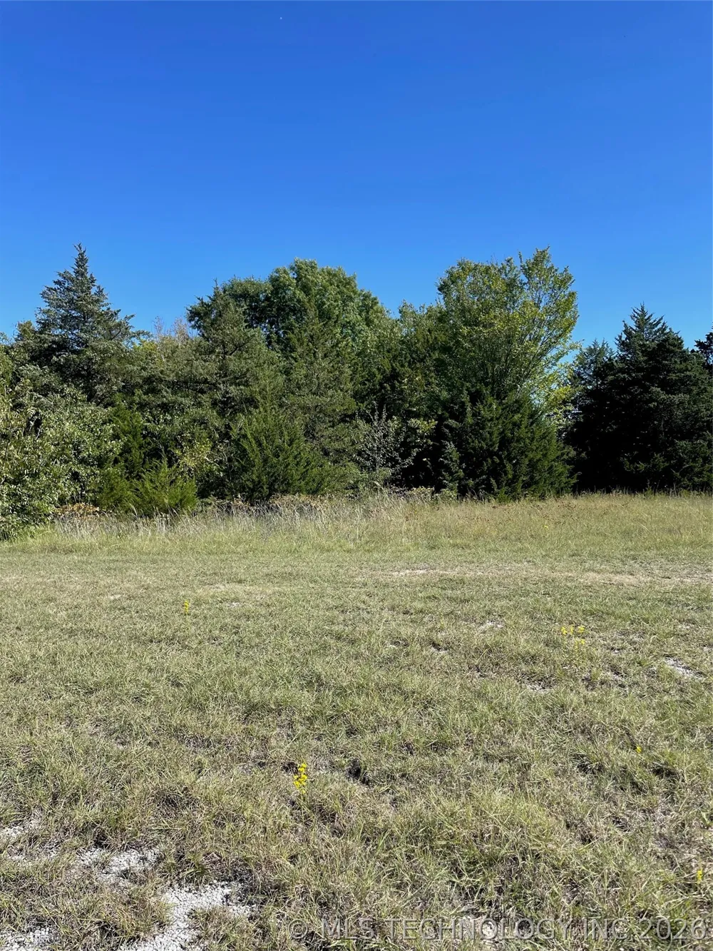 Lilac Burneyville, OK 73430