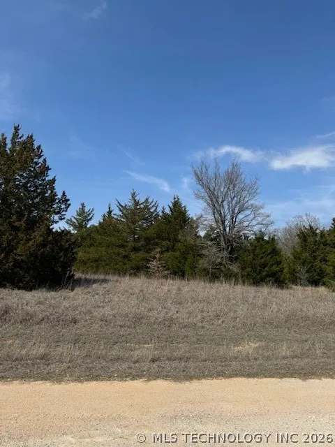 Lilac Burneyville, OK 73430