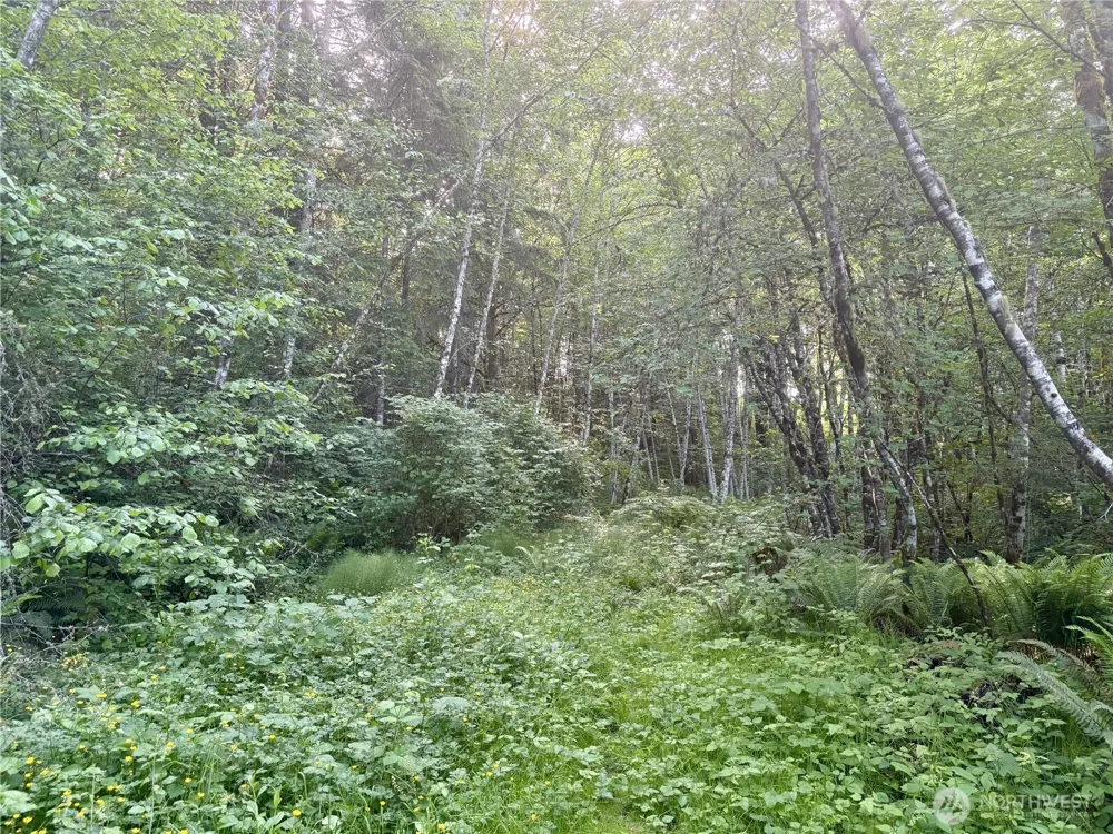 20249 State Route 305 NE Poulsbo, WA 98370