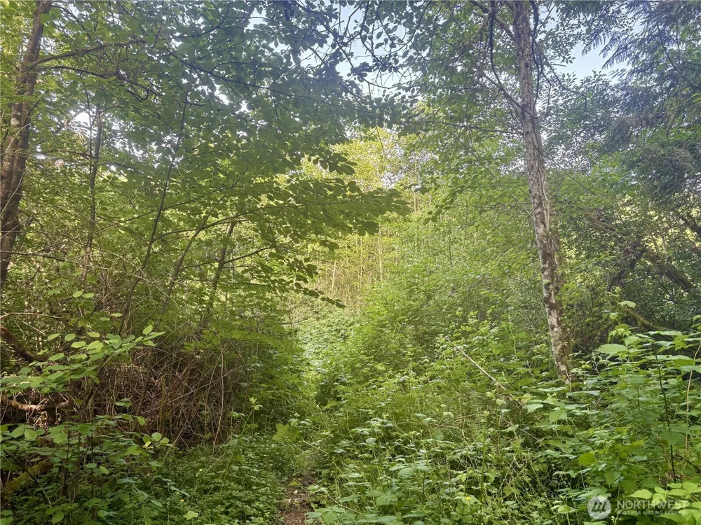 20249 State Route 305 NE Poulsbo, WA 98370