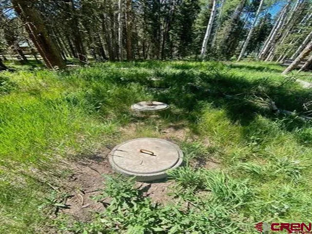 1772 Spruce Road Cimarron, CO 81220