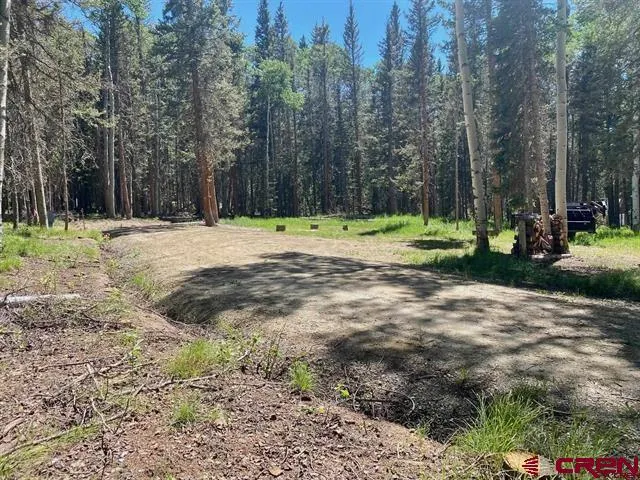 1772 Spruce Road Cimarron, CO 81220