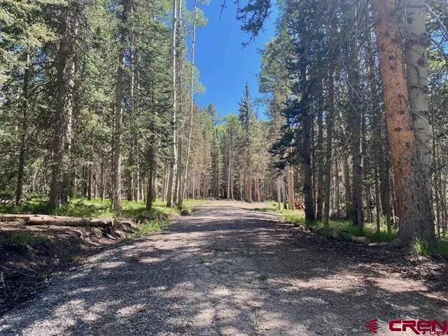 1772 Spruce Road Cimarron, CO 81220