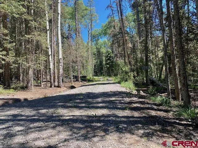 1772 Spruce Road Cimarron, CO 81220