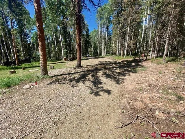1772 Spruce Road Cimarron, CO 81220