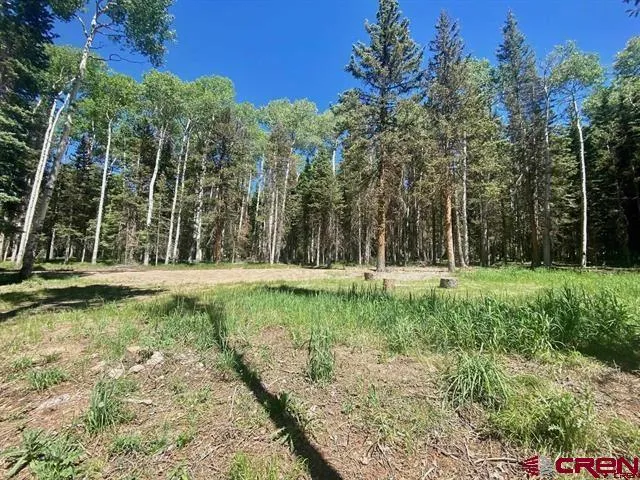 1772 Spruce Road Cimarron, CO 81220