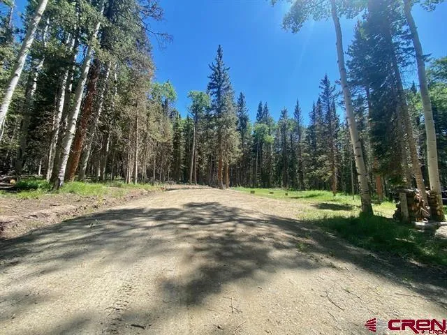 1772 Spruce Road Cimarron, CO 81220