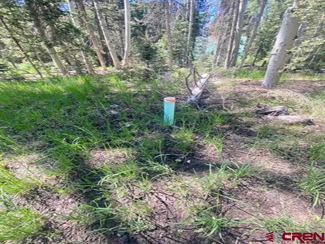 1772 Spruce Road Cimarron, CO 81220