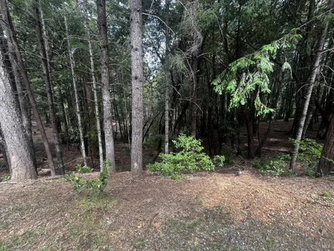 1572 Camellia Place