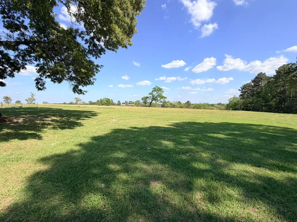 16742 Fm 831 Buffalo, TX 75831