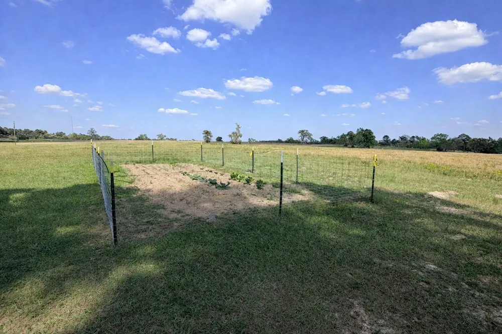 16742 Fm 831 Buffalo, TX 75831