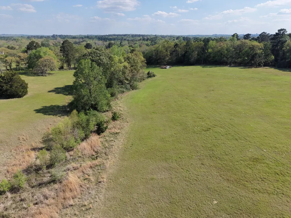 16742 Fm 831 Buffalo, TX 75831