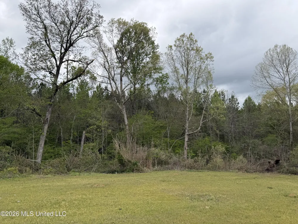 1861 Highway 25 Carthage, MS 39051