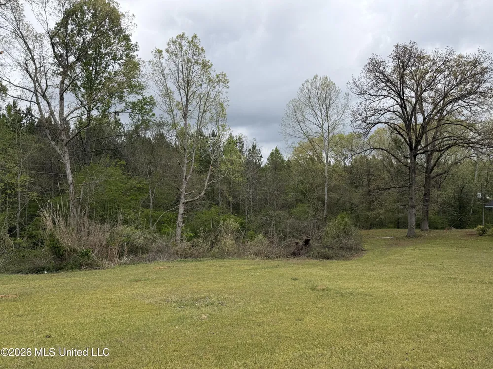1861 Highway 25 Carthage, MS 39051