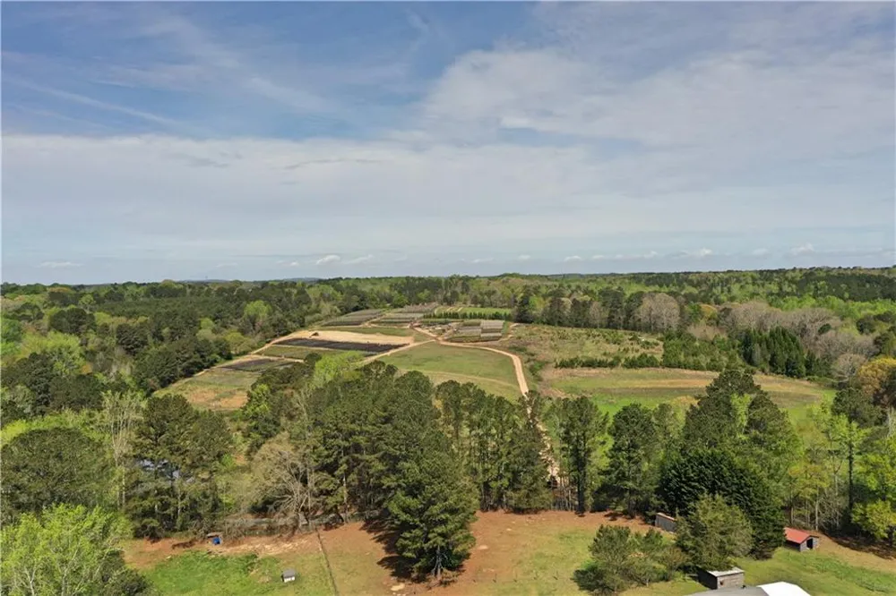 6039 Walker Bennett Road Loganville, GA 30052