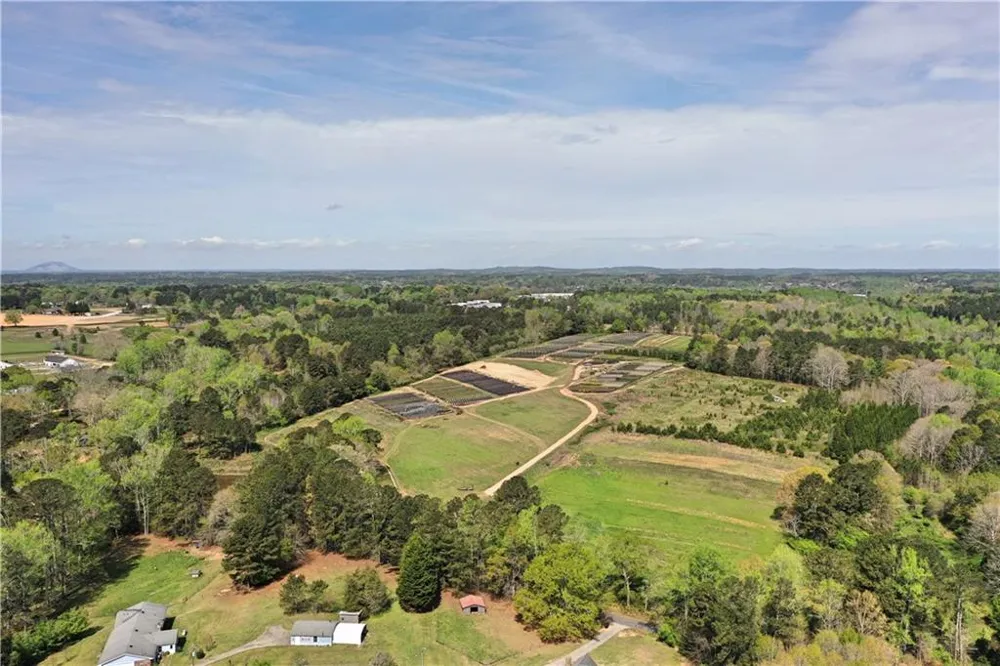 6039 Walker Bennett Road Loganville, GA 30052