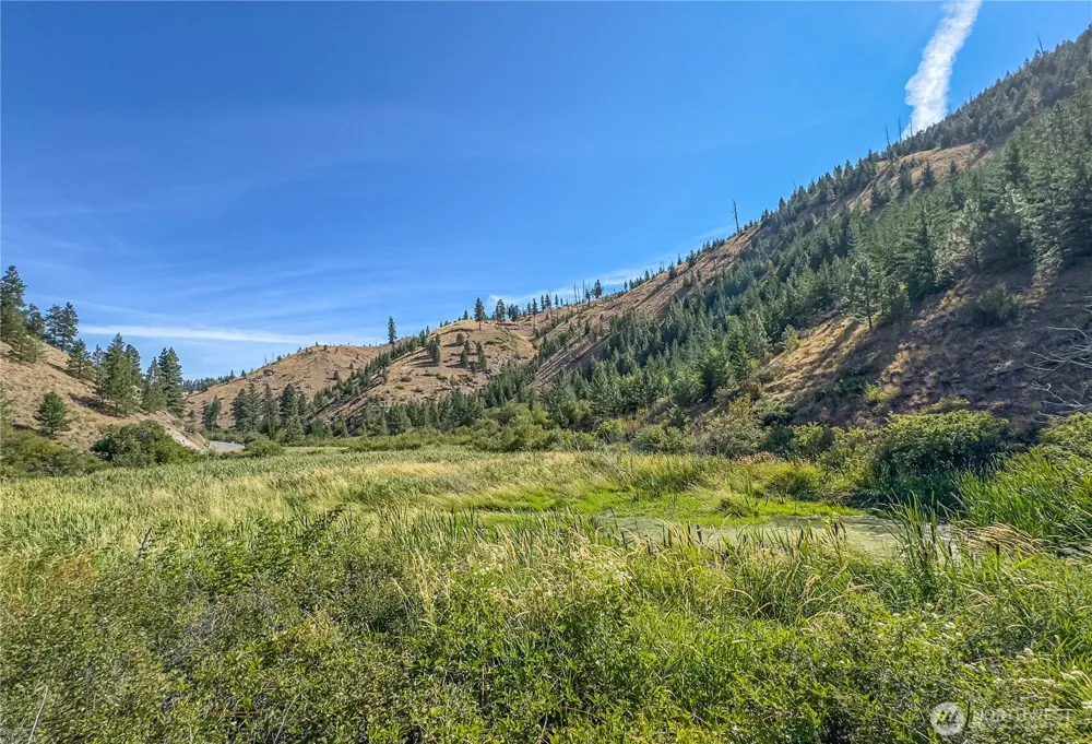 10558 Mud Creek Road Entiat, WA 98822