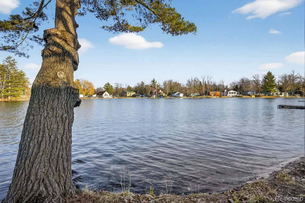 Circle Drive Hamilton Township, MI 48625