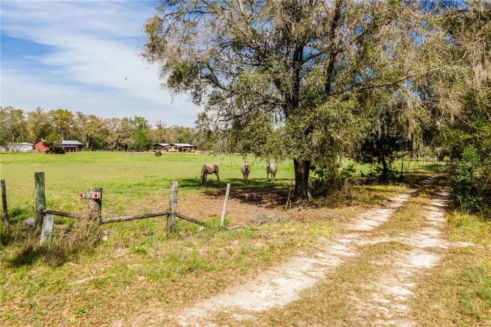 TBD SW 298 STREET Newberry, FL 32669