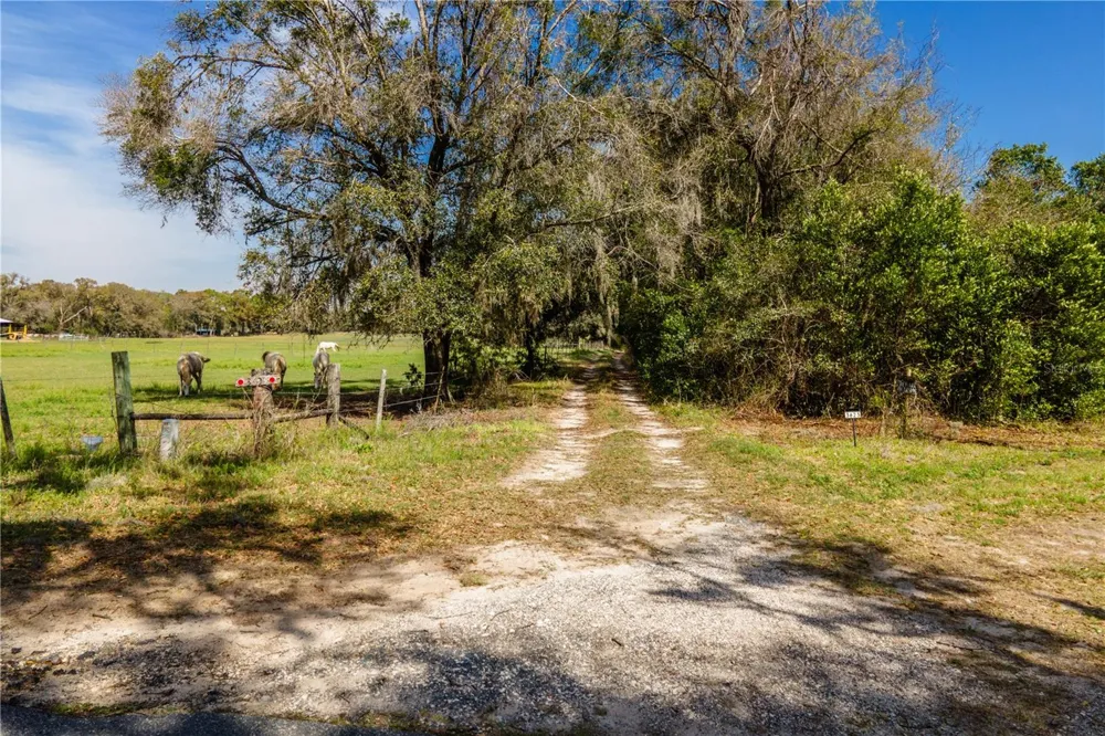 TBD SW 298 STREET Newberry, FL 32669