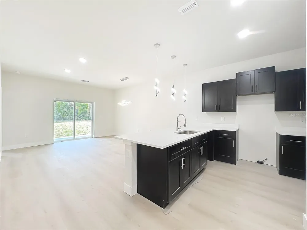 356 W 4TH STREET Apopka, FL 32703