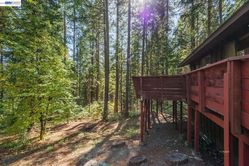 761 Lake Forest Dr. Trinity Center, CA 96091