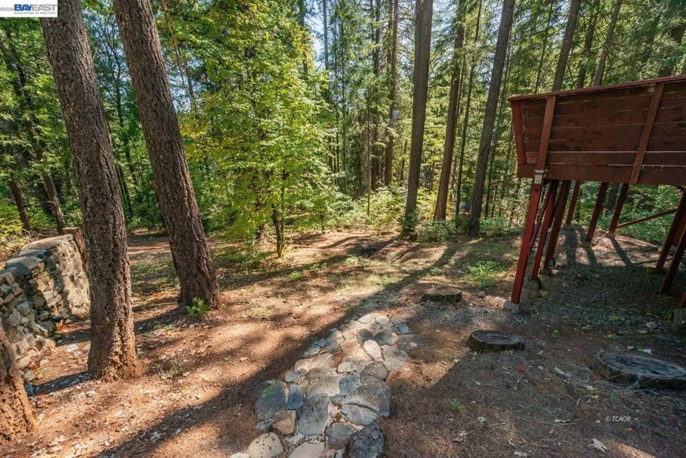 761 Lake Forest Dr. Trinity Center, CA 96091