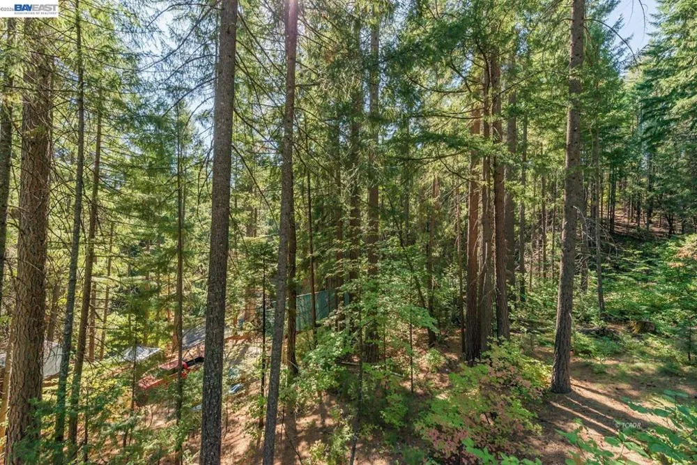761 Lake Forest Dr. Trinity Center, CA 96091