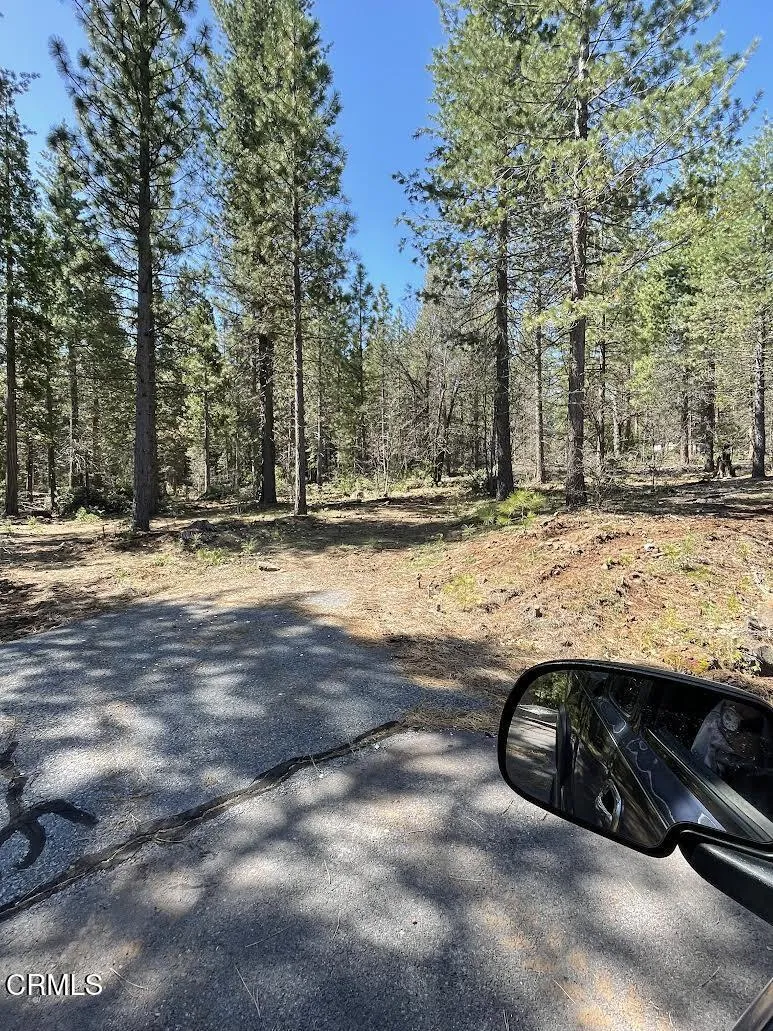 16 Chad Court Burney, CA 96013