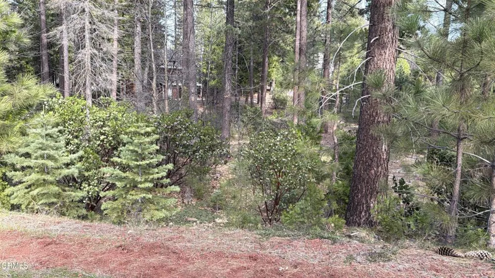 16 Chad Court Burney, CA 96013