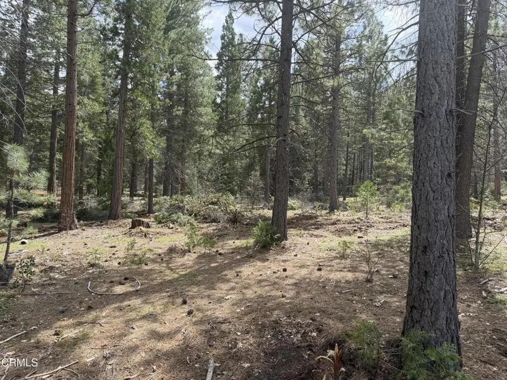 16 Chad Court Burney, CA 96013