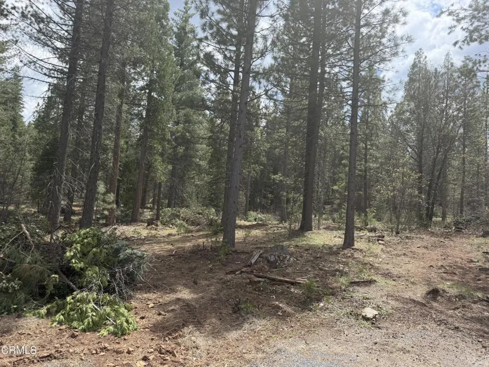 16 Chad Court Burney, CA 96013